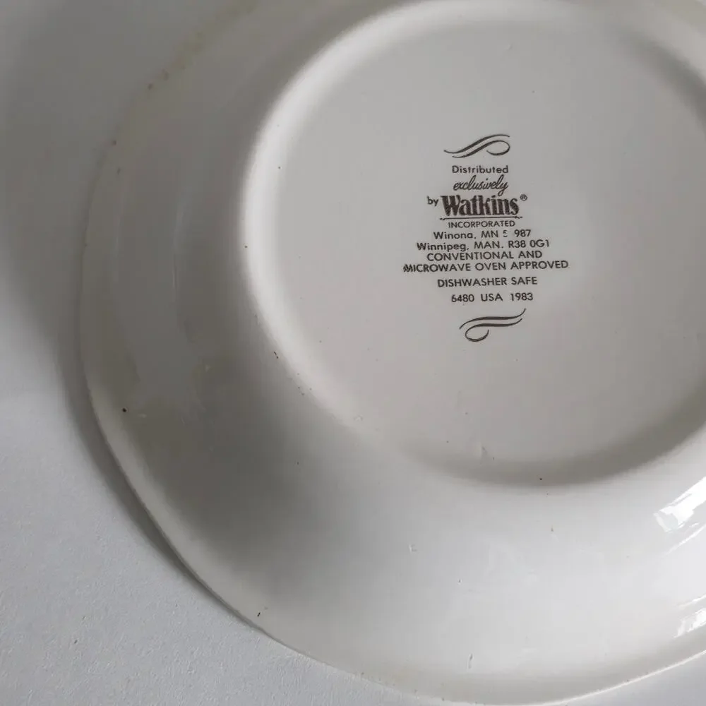 Watkins German Apple Kuchen Recipe Pie Plate 1983 Ceramic 11 Inch Vintage